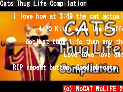 (c) NoCAT NoLiFE 2 Cats Thug Life Compilation Cats Thug Life Compilation (c) NoCAT NoLiFE 2