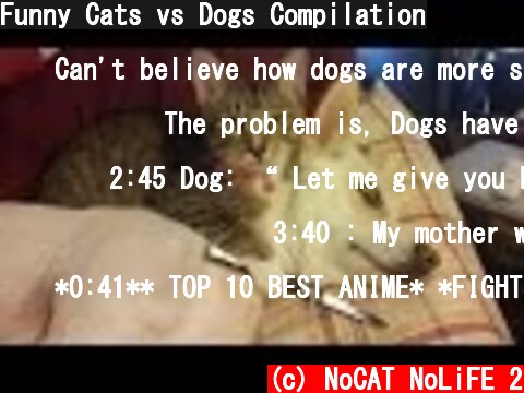 (c) NoCAT NoLiFE 2 Funny Cats vs Dogs Compilation Funny Cats vs Dogs Compilation (c) NoCAT NoLiFE 2