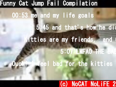 (c) NoCAT NoLiFE 2 Funny Cat Jump Fail Compilation Funny Cat Jump Fail Compilation (c) NoCAT NoLiFE 2