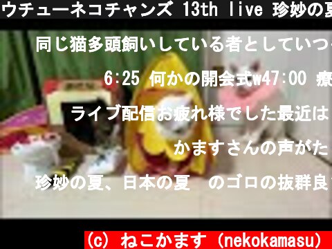 ウチューネコチャンズ 13th live 珍妙の夏、日本の夏  (c) ねこかます（nekokamasu）