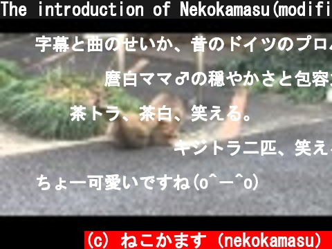 The introduction of Nekokamasu(modified)  (c) ねこかます（nekokamasu）
