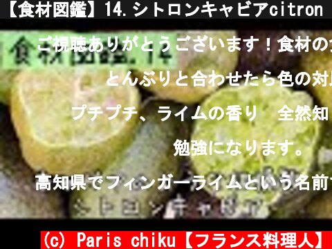 【食材図鑑】14.シトロンキャビアcitron caviar #shorts  (c) Paris chiku【フランス料理人】