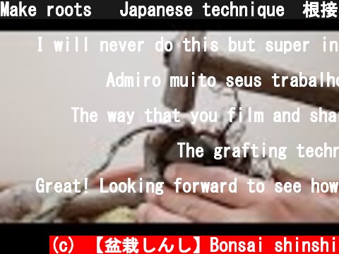Make roots   Japanese technique　根接ぎの技術  (c) 【盆栽しんし】Bonsai shinshi