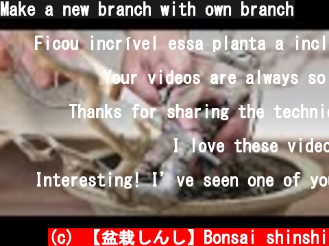 Make a new branch with own branch  (c) 【盆栽しんし】Bonsai shinshi