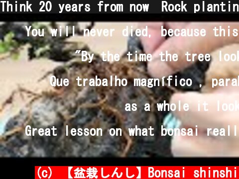 Think 20 years from now　Rock planting  長寿梅  (c) 【盆栽しんし】Bonsai shinshi