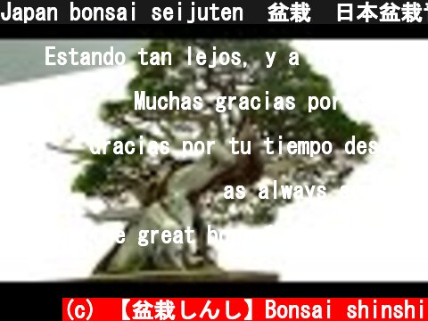 Japan bonsai seijuten  盆栽　日本盆栽青樹展  (c) 【盆栽しんし】Bonsai shinshi