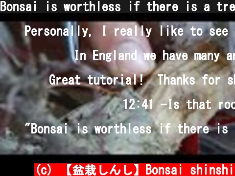 Bonsai is worthless if there is a tree hollow.   樹洞を治す方法　盆栽  (c) 【盆栽しんし】Bonsai shinshi