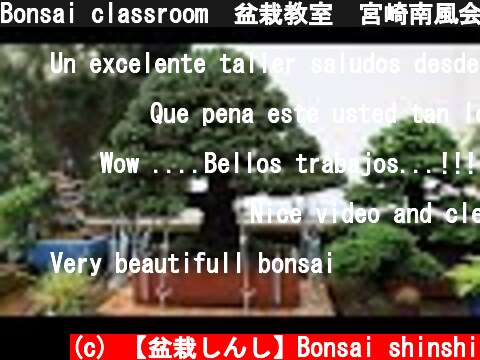 Bonsai classroom　盆栽教室　宮崎南風会  (c) 【盆栽しんし】Bonsai shinshi