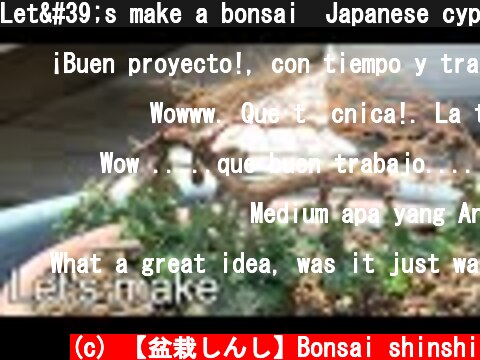 Let's make a bonsai  Japanese cypress　石化檜  (c) 【盆栽しんし】Bonsai shinshi