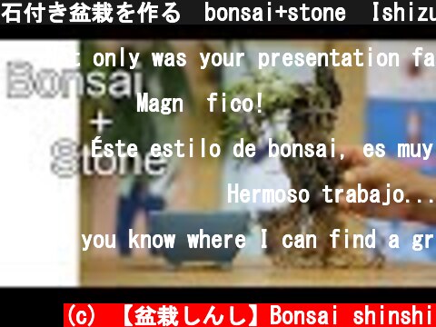 石付き盆栽を作る　bonsai+stone  Ishizuki　匂い楓  (c) 【盆栽しんし】Bonsai shinshi