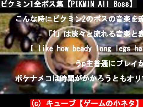 ピクミン1全ボス集【PIKMIN All Boss】  (c) キューブ【ゲームの小ネタ】