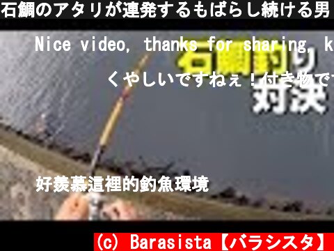 石鯛のアタリが連発するもばらし続ける男 striped beakfish fishing  (c) Barasista【バラシスタ】