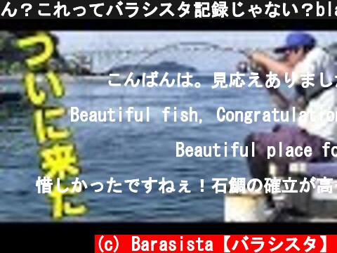 ん？これってバラシスタ記録じゃない？black sea bream fishing  (c) Barasista【バラシスタ】
