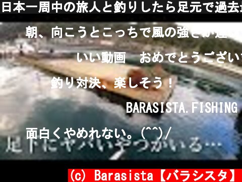 日本一周中の旅人と釣りしたら足元で過去最強のヤツがきた…！！【九州遠征 #2】  (c) Barasista【バラシスタ】