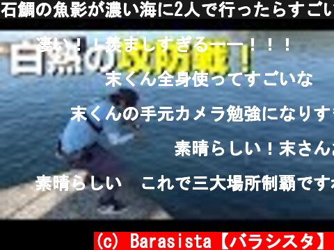 石鯛の魚影が濃い海に2人で行ったらすごい事になった striped beakfish fishing  (c) Barasista【バラシスタ】