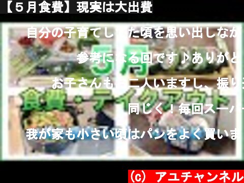 【５月食費】現実は大出費  (c) アユチャンネル