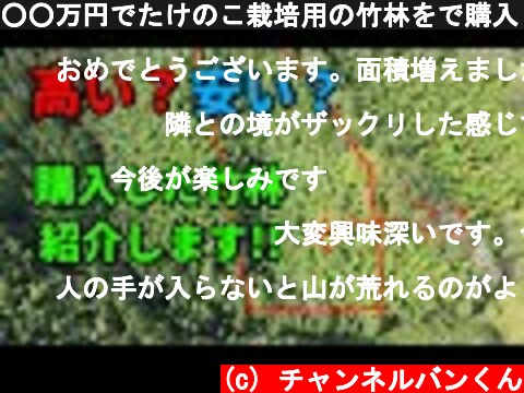 ○○万円でたけのこ栽培用の竹林をで購入したのでご紹介します。※個人間取引で登記申請は自分でやりました  (c) チャンネルバンくん