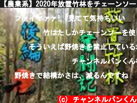 【農業系】2020年放置竹林をチェーンソーを使って開拓！後編【竹林系】  (c) チャンネルバンくん