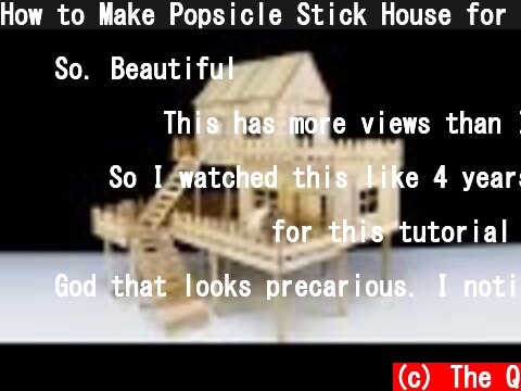 How to Make Popsicle Stick House for Rat  (c) The Q