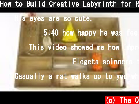 How to Build Creative Labyrinth for Rat  (c) The Q