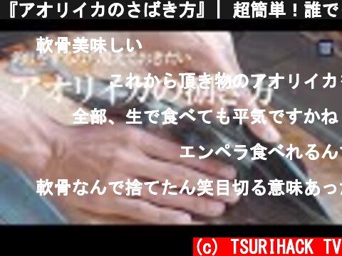 『アオリイカのさばき方』| 超簡単！誰でもできる魚の捌き方  (c) TSURIHACK TV