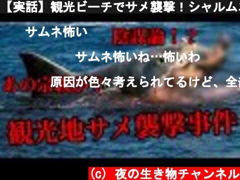 【実話】観光ビーチでサメ襲撃！シャルムエルシェイクサメ襲撃事件【4人の犠牲者が‥】  (c) 夜の生き物チャンネル