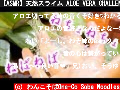 【ASMR】天然スライム ALOE VERA CHALLENGE【音フェチ】  (c) わんこそばOne-Co Soba Noodles