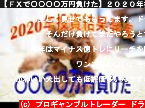 【ＦＸで〇〇〇〇万円負けた】２０２０年投資結果発表  (c) プロギャンブルトレーダー ドラ