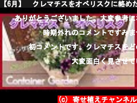 【6月】🌸クレマチスをオベリスクに絡めた寄せ植え☆How to/A Container-garden with clematis wrapped around an obelisk！  (c) 寄せ植えチャンネル