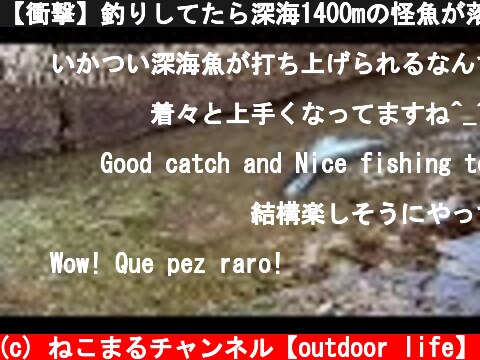 【衝撃】釣りしてたら深海1400mの怪魚が落ちてた。  (c) ねこまるチャンネル【outdoor life】