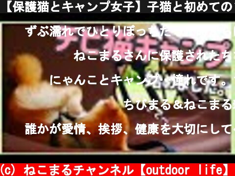 【保護猫とキャンプ女子】子猫と初めてのソロキャンプ🏕でナマズ捌いてみた❣️【前編】  (c) ねこまるチャンネル【outdoor life】