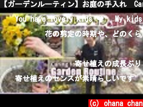 【ガーデンルーティン】お庭の手入れ❕Caring for Plants🌱Garden Routine❕  (c) ohana chan