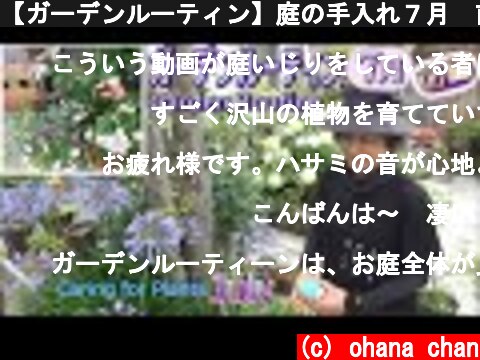 【ガーデンルーティン】庭の手入れ７月☔前編🌱Caring for Plants!!Garden Routine July🌟  (c) ohana chan