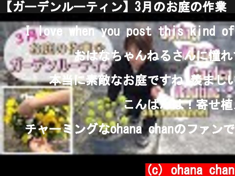【ガーデンルーティン】3月のお庭の作業🌹Spring March Garden Routine❢🌸✨  (c) ohana chan