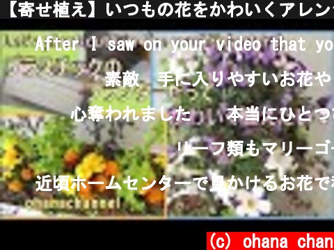 【寄せ植え】いつもの花をかわいくアレンジ❢Let's Plant cute in the usual Planter🌱  (c) ohana chan