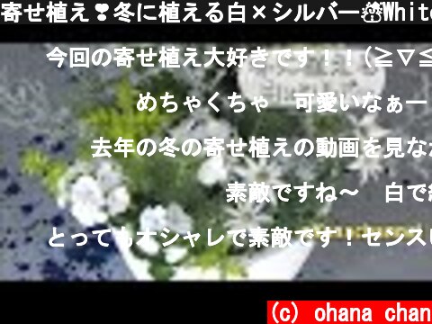 寄せ植え❣冬に植える白×シルバー☃White Winter Container★（2019.11.01作）  (c) ohana chan