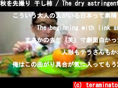 秋を先撮り 干し柿 / The dry astringent persimmon is sweet.  (c) teraminato