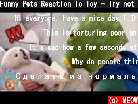 Funny Pets Reaction To Toy - Try not To Laugh | MEOW  (c) MEOW