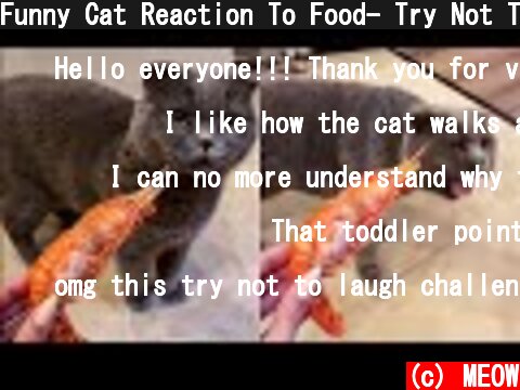 Funny Cat Reaction To Food- Try Not To Laugh 😹Pet Videos | Super Cats  (c) MEOW