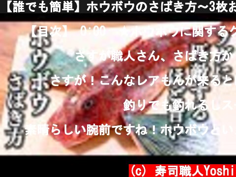 【誰でも簡単】ホウボウのさばき方～3枚おろしと刺身の切り方  (c) 寿司職人Yoshi