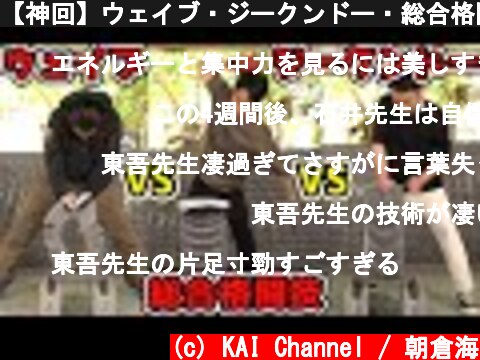 【神回】ウェイブ・ジークンドー・総合格闘技どれが一番強いのか  (c) KAI Channel / 朝倉海