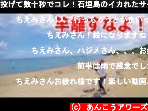 投げて数十秒でコレ！石垣島のイカれたサーフ【女ひとり旅】♯２  (c) あんこうアワーズ