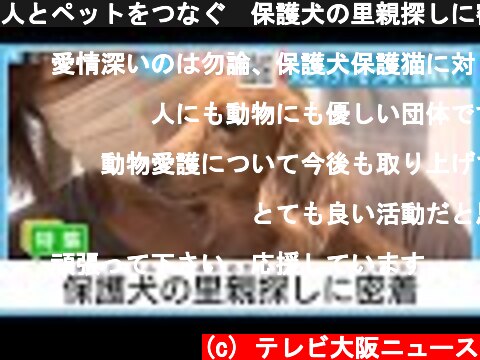 人とペットをつなぐ　保護犬の里親探しに密着  (c) テレビ大阪ニュース