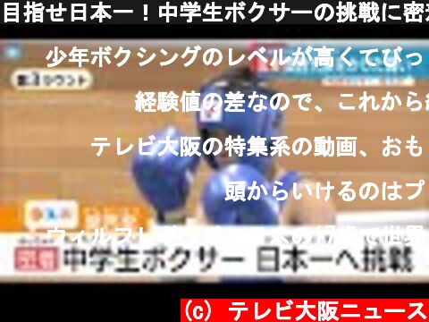 目指せ日本一！中学生ボクサーの挑戦に密着  (c) テレビ大阪ニュース