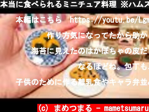 本当に食べられるミニチュア料理 ※ハムスター用  (c) まめつまる - mametsumaru