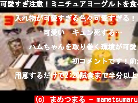 可愛すぎ注意！ミニチュアヨーグルトを食べるハムスター？！  (c) まめつまる - mametsumaru