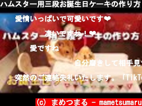 ハムスター用三段お誕生日ケーキの作り方  (c) まめつまる - mametsumaru