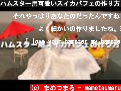 ハムスター用可愛いスイカパフェの作り方 How to make a cute watermelon parfait for your hamster  (c) まめつまる - mametsumaru