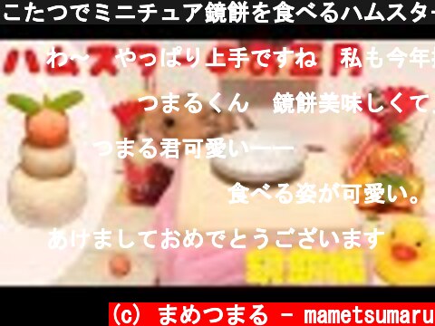こたつでミニチュア鏡餅を食べるハムスター  (c) まめつまる - mametsumaru