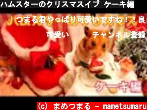 ハムスターのクリスマスイブ ケーキ編  (c) まめつまる - mametsumaru